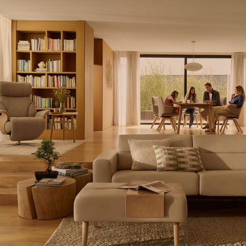 Leather Sofas