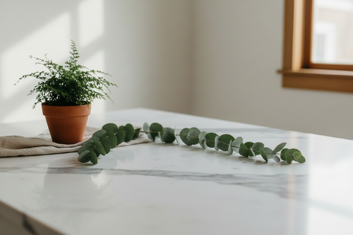 Mint Cleaning Products | Eco-Friendly Cleaning Supplies | GP Home