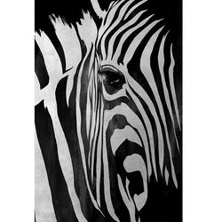 Close-up Zebra Art - 40"X60"