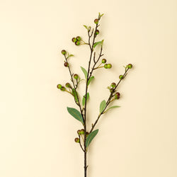 Hypericum Berry Spray