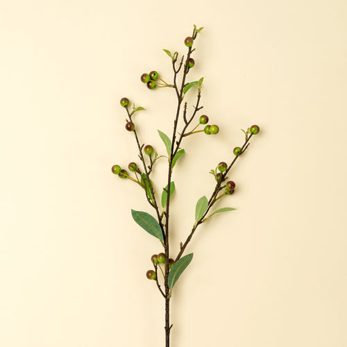 Hypericum Berry Spray