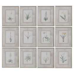 Uttermost Art - Spring Florals (Set of 12 Frames)