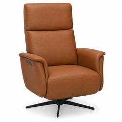 Skala Reclining Chair