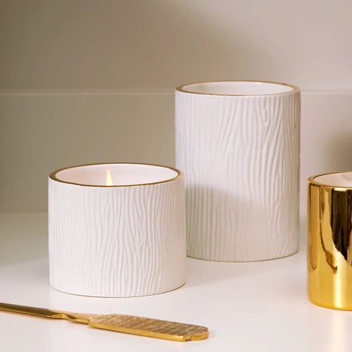 Frasier Fir Gilded Glow Ceramic Candle - 11 oz