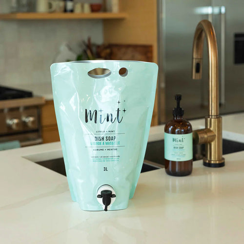 Mint 	Dish Soap Party Pouch