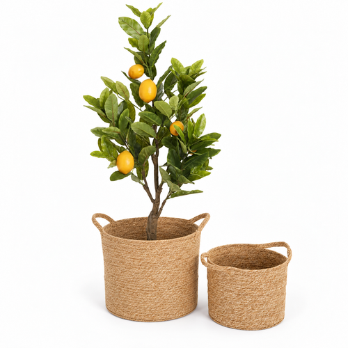 A Little Sunshine gift set with faux lemon tree and two natural seagrass baskets