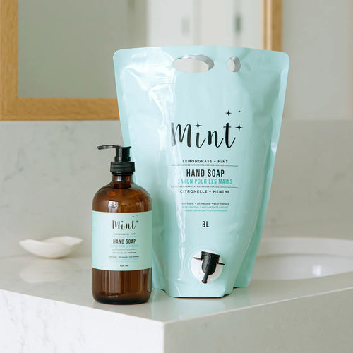 Mint 	Hand Soap Party Pouch