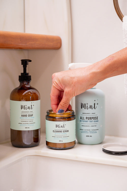 Mint Cleaning Scrub