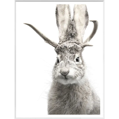 Mod. Farm - Jackalope - White  Art - 15x20