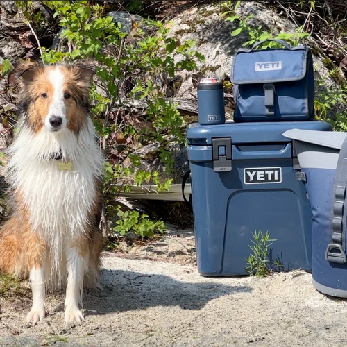 Yeti Roadie 24