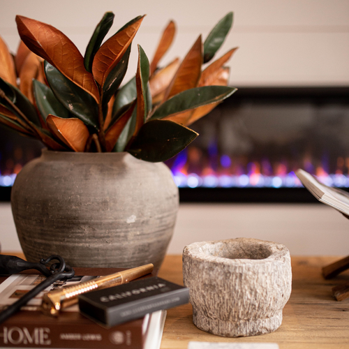 Decorative items including a potted plant, books, and a small stone container on a wooden surface with a fireplace in the background.
