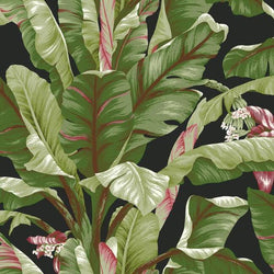 Banana Leaf Wallpaper - Black