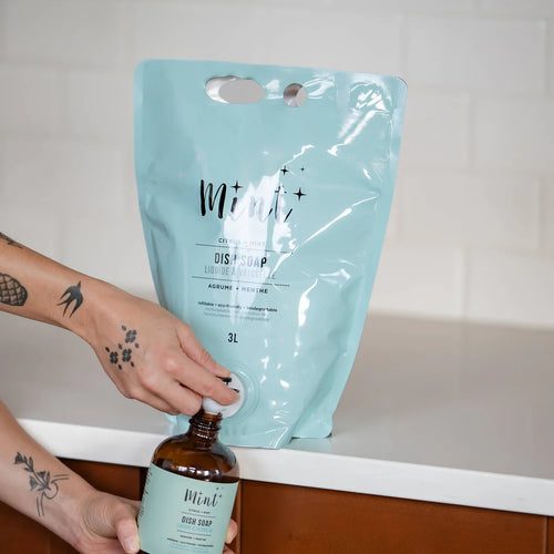 Mint 	Dish Soap Party Pouch