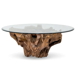 Natura Root Condo Size Coffee Table